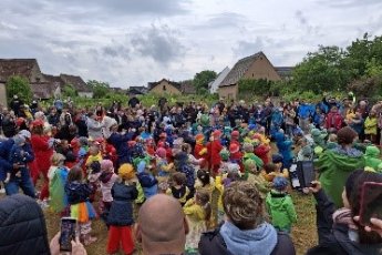 Bild Sommerfest
